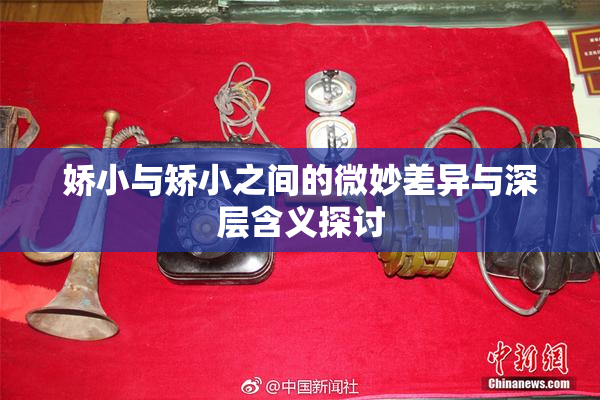 娇小与矫小之间的微妙差异与深层含义探讨