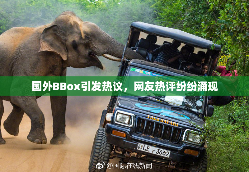 国外BBox引发热议，网友热评纷纷涌现