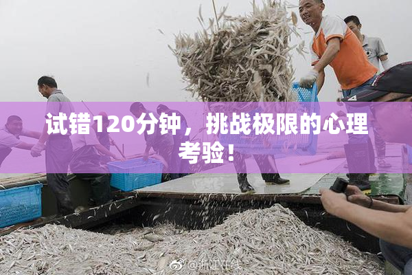 试错120分钟，挑战极限的心理考验！
