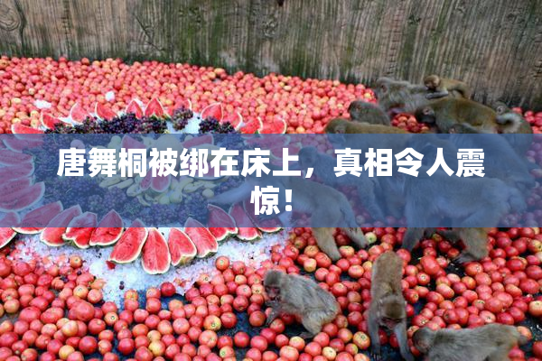 唐舞桐被绑在床上，真相令人震惊！