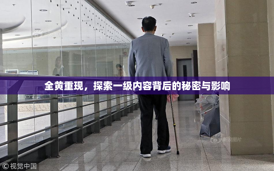 全黄重现，探索一级内容背后的秘密与影响