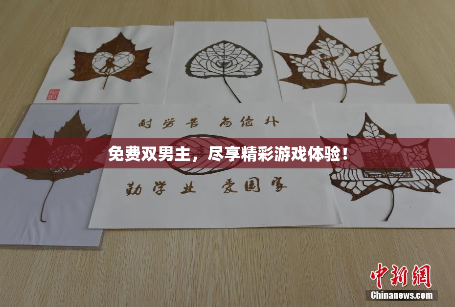 免费双男主，尽享精彩游戏体验！