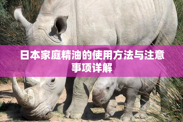 日本家庭精油的使用方法与注意事项详解