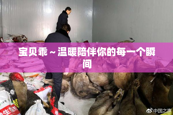 宝贝乖～温暖陪伴你的每一个瞬间