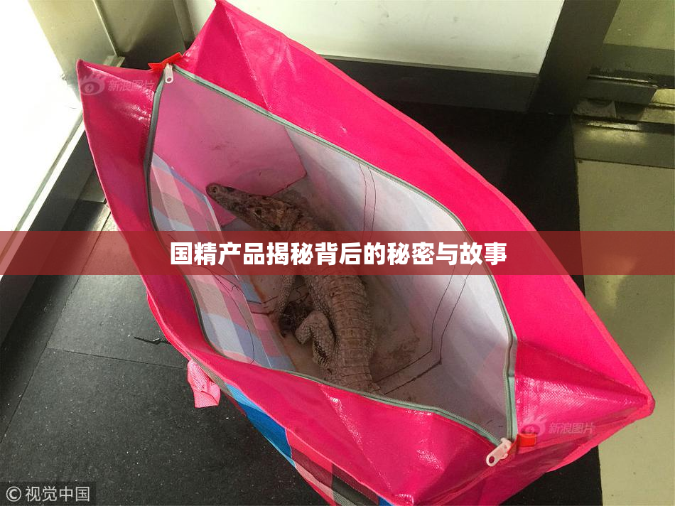国精产品揭秘背后的秘密与故事
