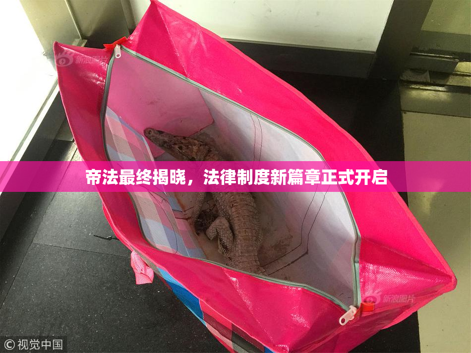 帝法最终揭晓，法律制度新篇章正式开启