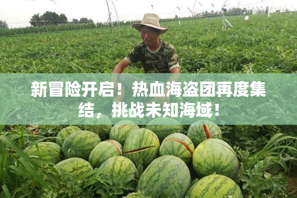 新冒险开启！热血海盗团再度集结，挑战未知海域！