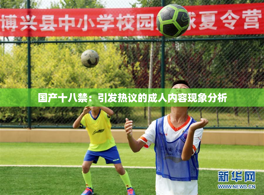 国产十八禁：引发热议的成人内容现象分析