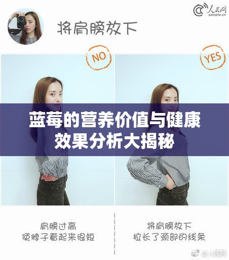 蓝莓的营养价值与健康效果分析大揭秘