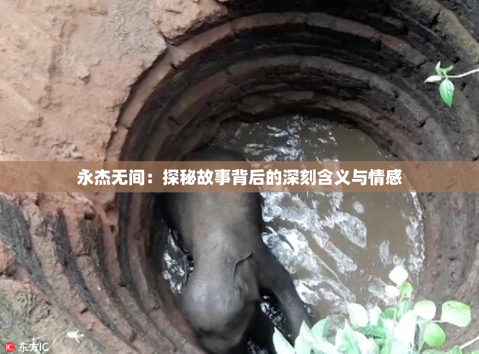 永杰无间：探秘故事背后的深刻含义与情感