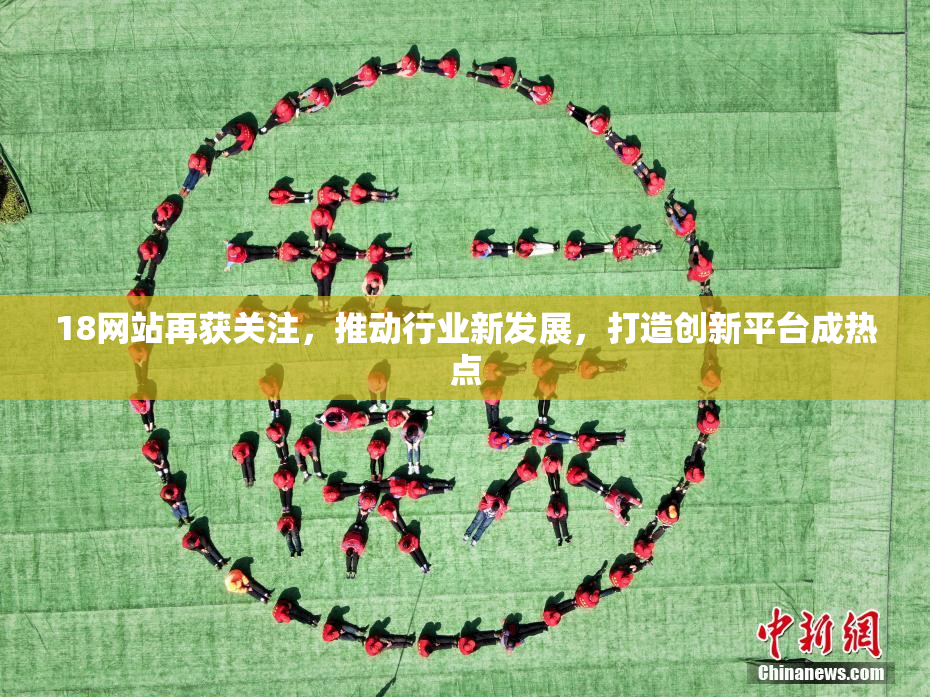 18网站再获关注，推动行业新发展，打造创新平台成热点