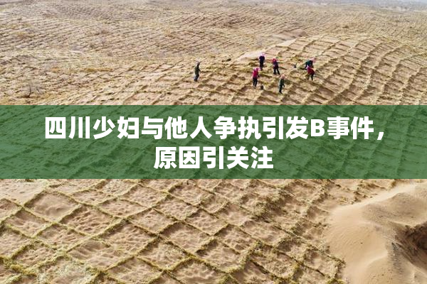 四川少妇与他人争执引发B事件，原因引关注