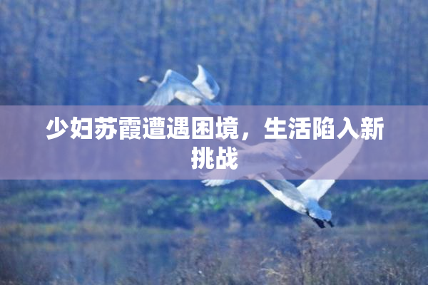 少妇苏霞遭遇困境，生活陷入新挑战