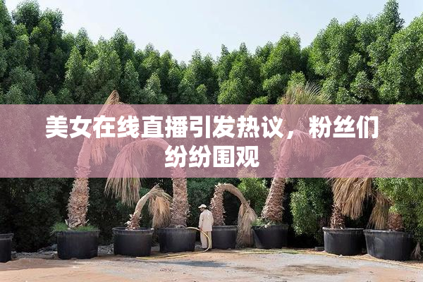 美女在线直播引发热议，粉丝们纷纷围观