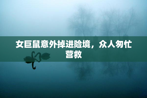 女巨鼠意外掉进险境，众人匆忙营救