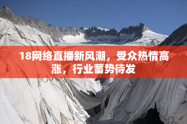 18网络直播新风潮，受众热情高涨，行业蓄势待发