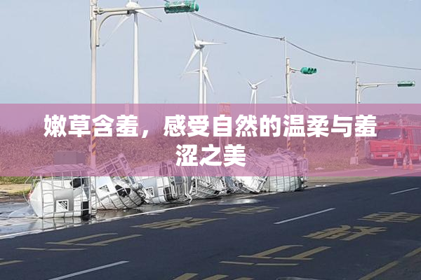 嫩草含羞，感受自然的温柔与羞涩之美