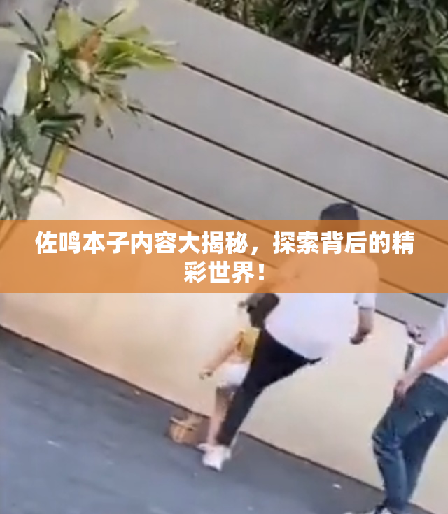 佐鸣本子内容大揭秘，探索背后的精彩世界！