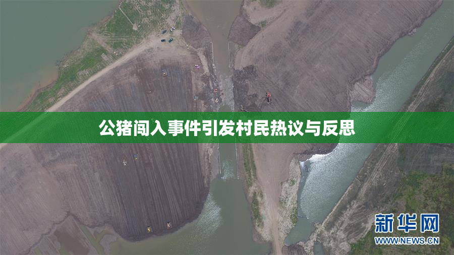 公猪闯入事件引发村民热议与反思