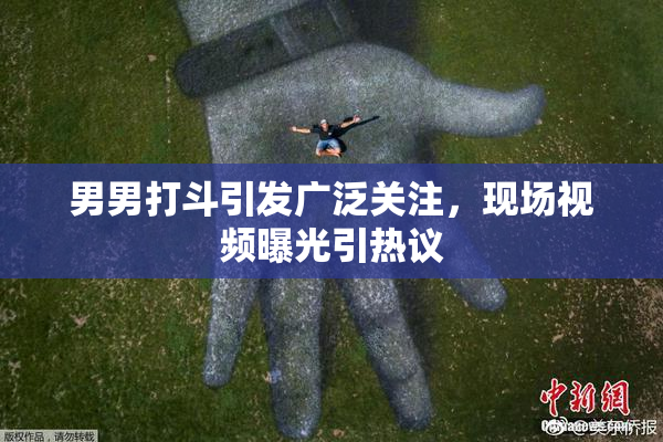 男男打斗引发广泛关注，现场视频曝光引热议