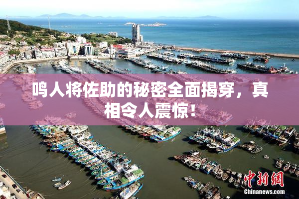 鸣人将佐助的秘密全面揭穿，真相令人震惊！