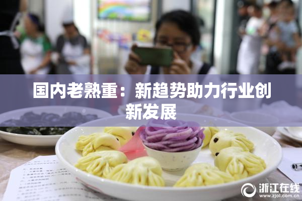 国内老熟重：新趋势助力行业创新发展