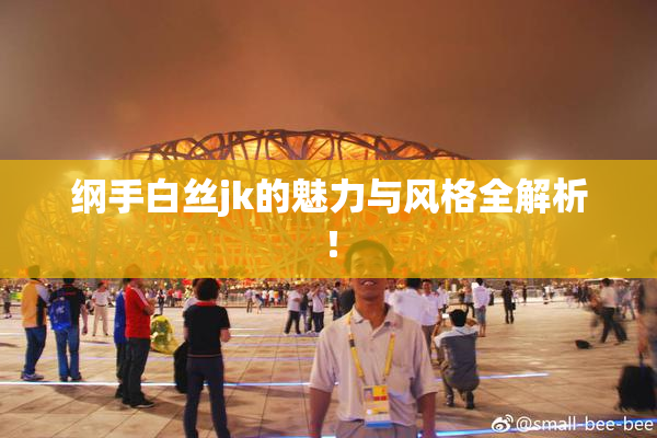 纲手白丝jk的魅力与风格全解析！