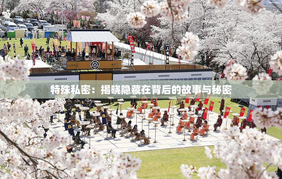 特殊私密：揭晓隐藏在背后的故事与秘密