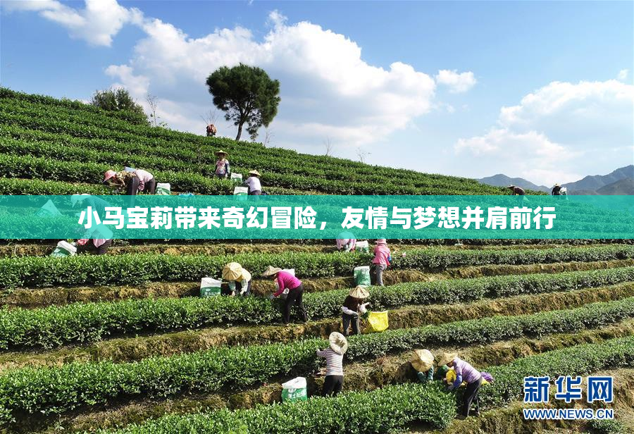 小马宝莉带来奇幻冒险，友情与梦想并肩前行