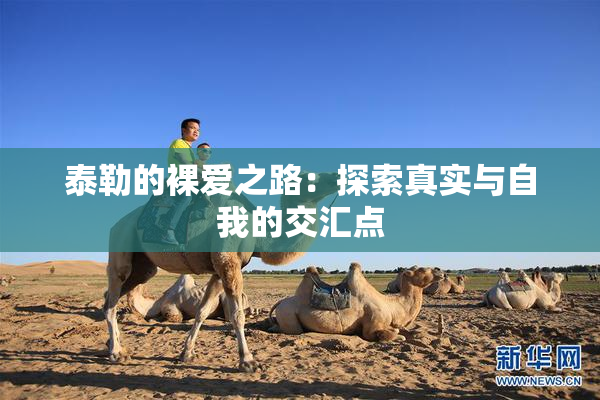 泰勒的裸爱之路：探索真实与自我的交汇点