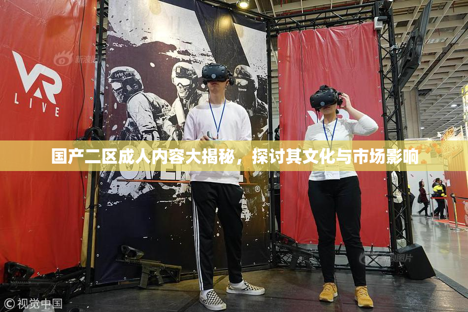 国产二区成人内容大揭秘，探讨其文化与市场影响