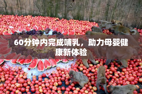 60分钟内完成哺乳，助力母婴健康新体验
