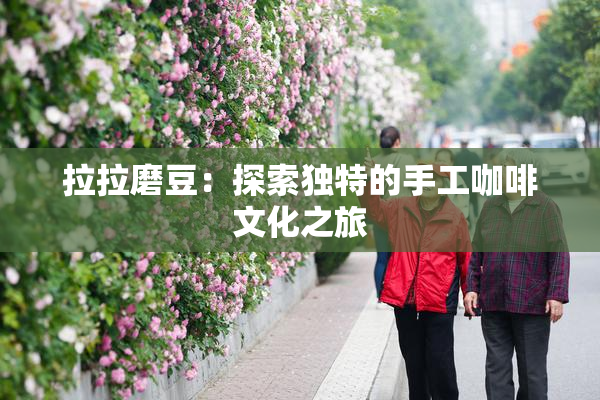 拉拉磨豆：探索独特的手工咖啡文化之旅