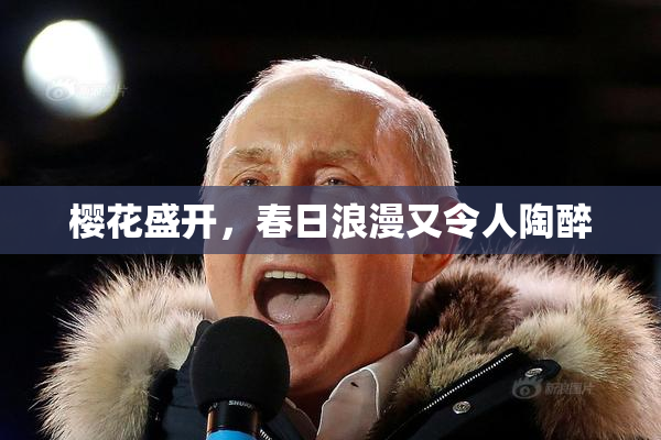 樱花盛开，春日浪漫又令人陶醉