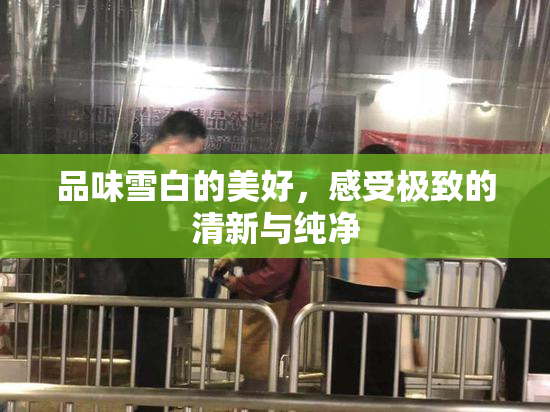 品味雪白的美好，感受极致的清新与纯净