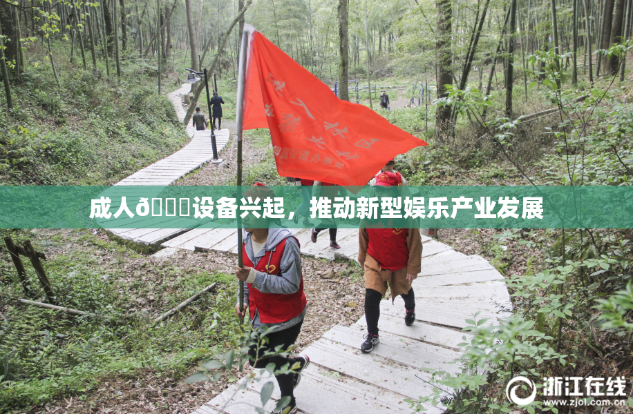 成人🍆设备兴起，推动新型娱乐产业发展
