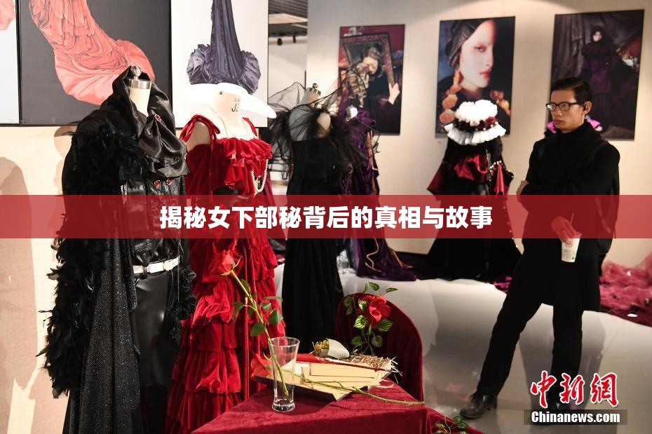 揭秘女下部秘背后的真相与故事