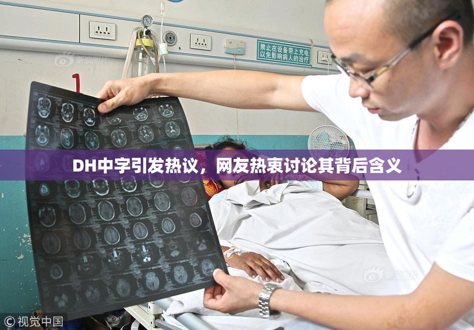 DH中字引发热议，网友热衷讨论其背后含义