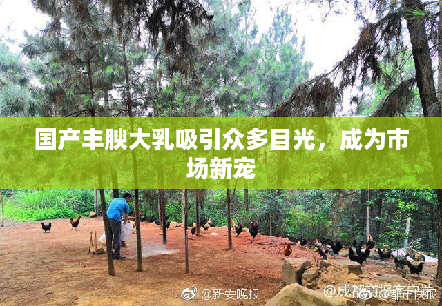 国产丰腴大乳吸引众多目光，成为市场新宠