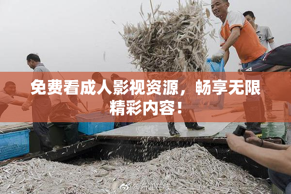 免费看成人影视资源，畅享无限精彩内容！