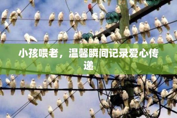 小孩喂老，温馨瞬间记录爱心传递