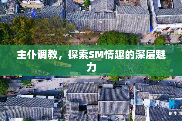 主仆调教，探索SM情趣的深层魅力