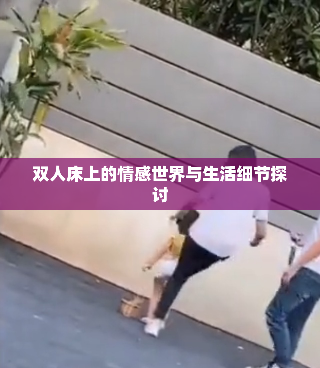 双人床上的情感世界与生活细节探讨