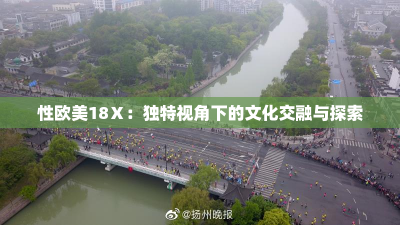 性欧美18Ⅹ：独特视角下的文化交融与探索