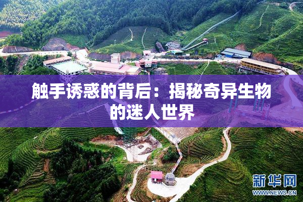 触手诱惑的背后：揭秘奇异生物的迷人世界