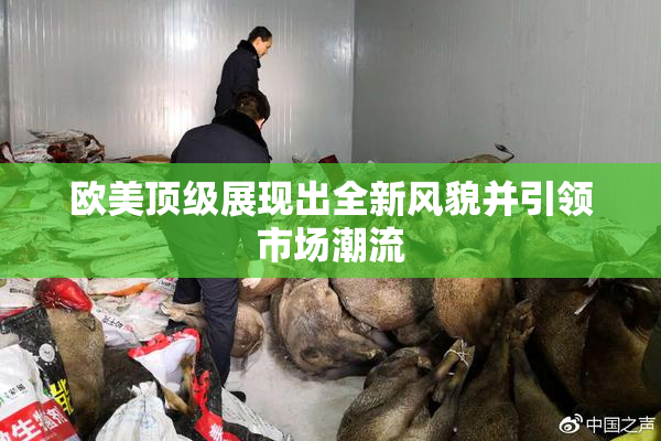 欧美顶级展现出全新风貌并引领市场潮流