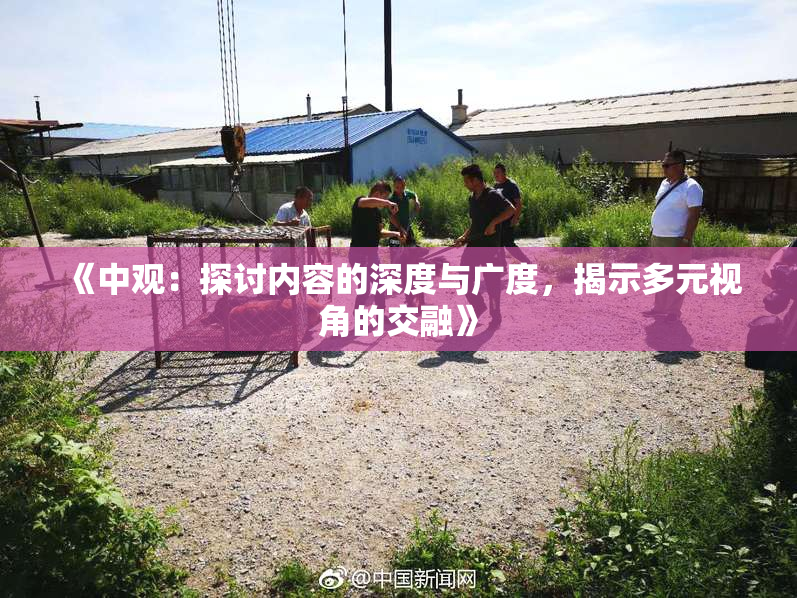 《中观：探讨内容的深度与广度，揭示多元视角的交融》