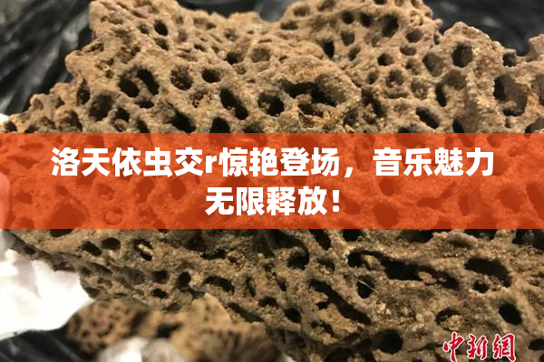 洛天依虫交r惊艳登场，音乐魅力无限释放！