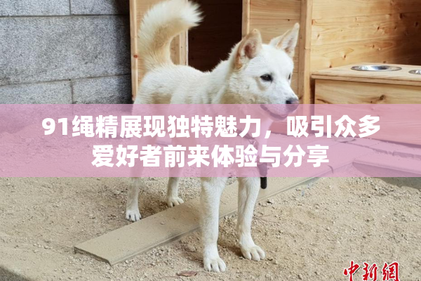 91绳精展现独特魅力，吸引众多爱好者前来体验与分享