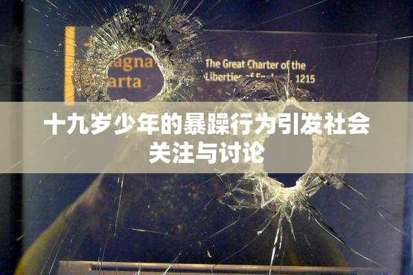 十九岁少年的暴躁行为引发社会关注与讨论